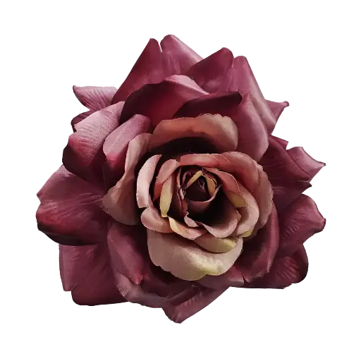 Flor flamenca: Rosa normal